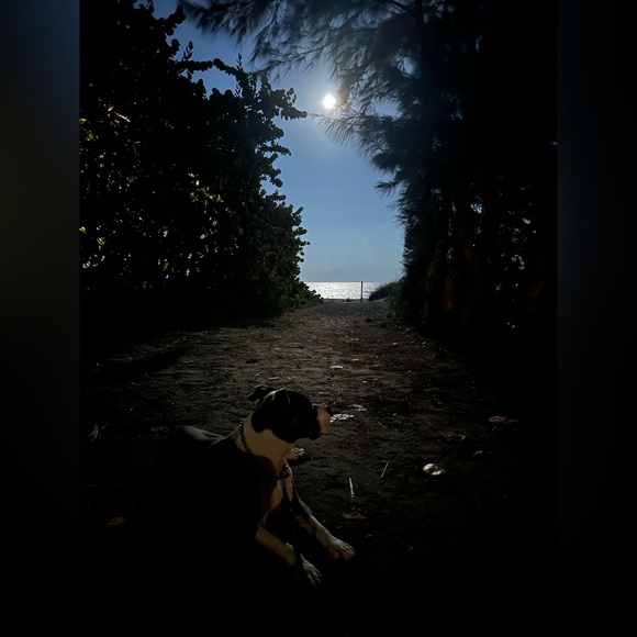 SALE - RAISING MONEY FOR CANCER TREATMENT! - Picture 7 of 12